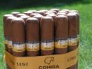 Cohiba photo